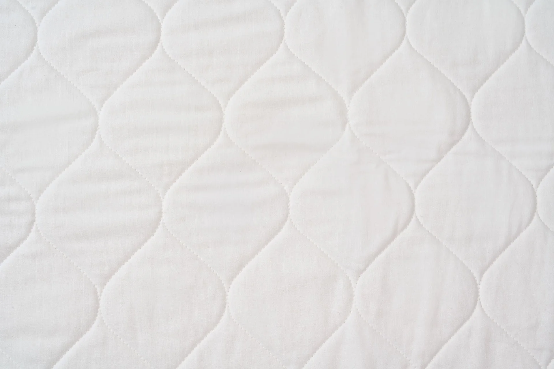 Cotton Quilted Pillow Sham - Image 4
