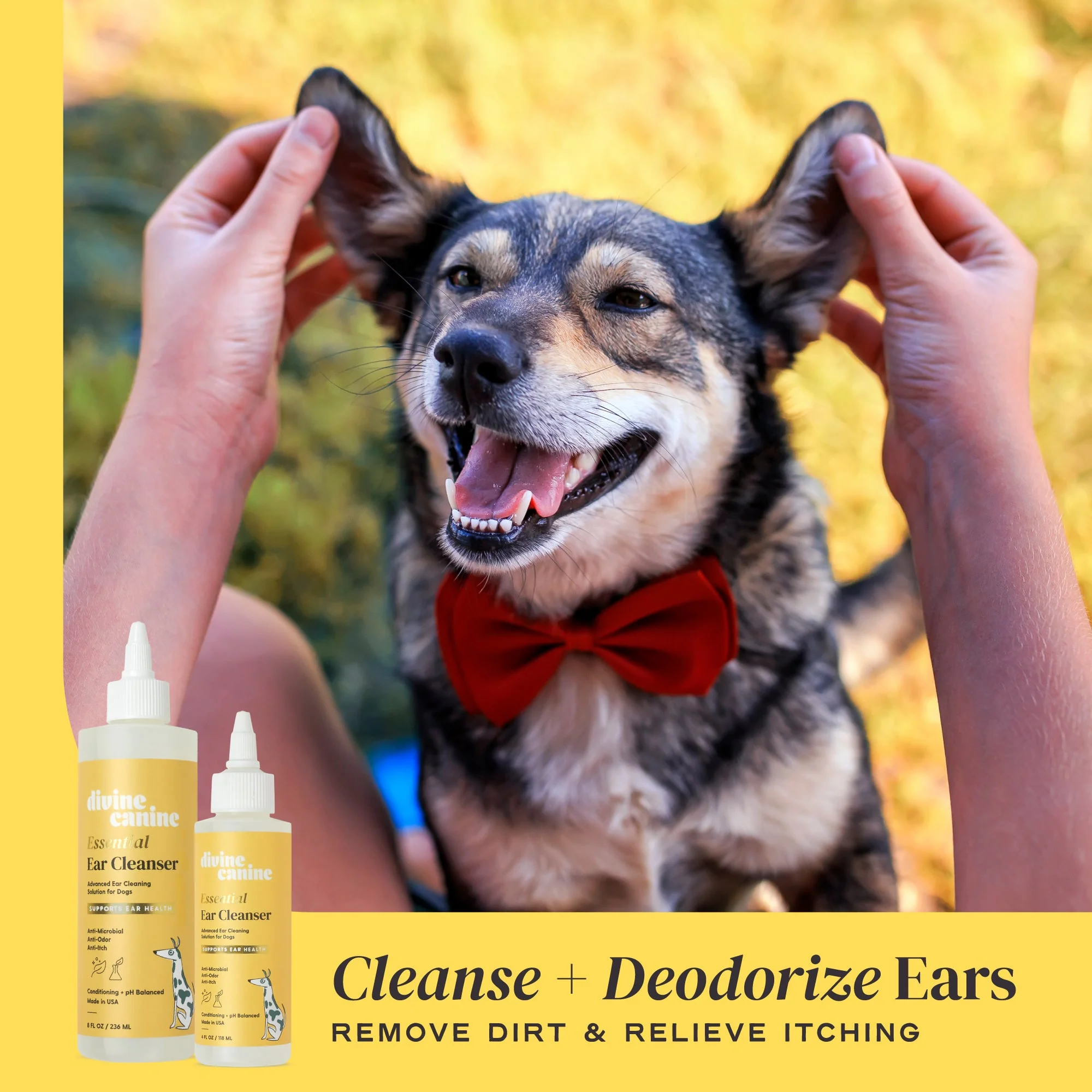 Essential Ear Cleanser - Image 4