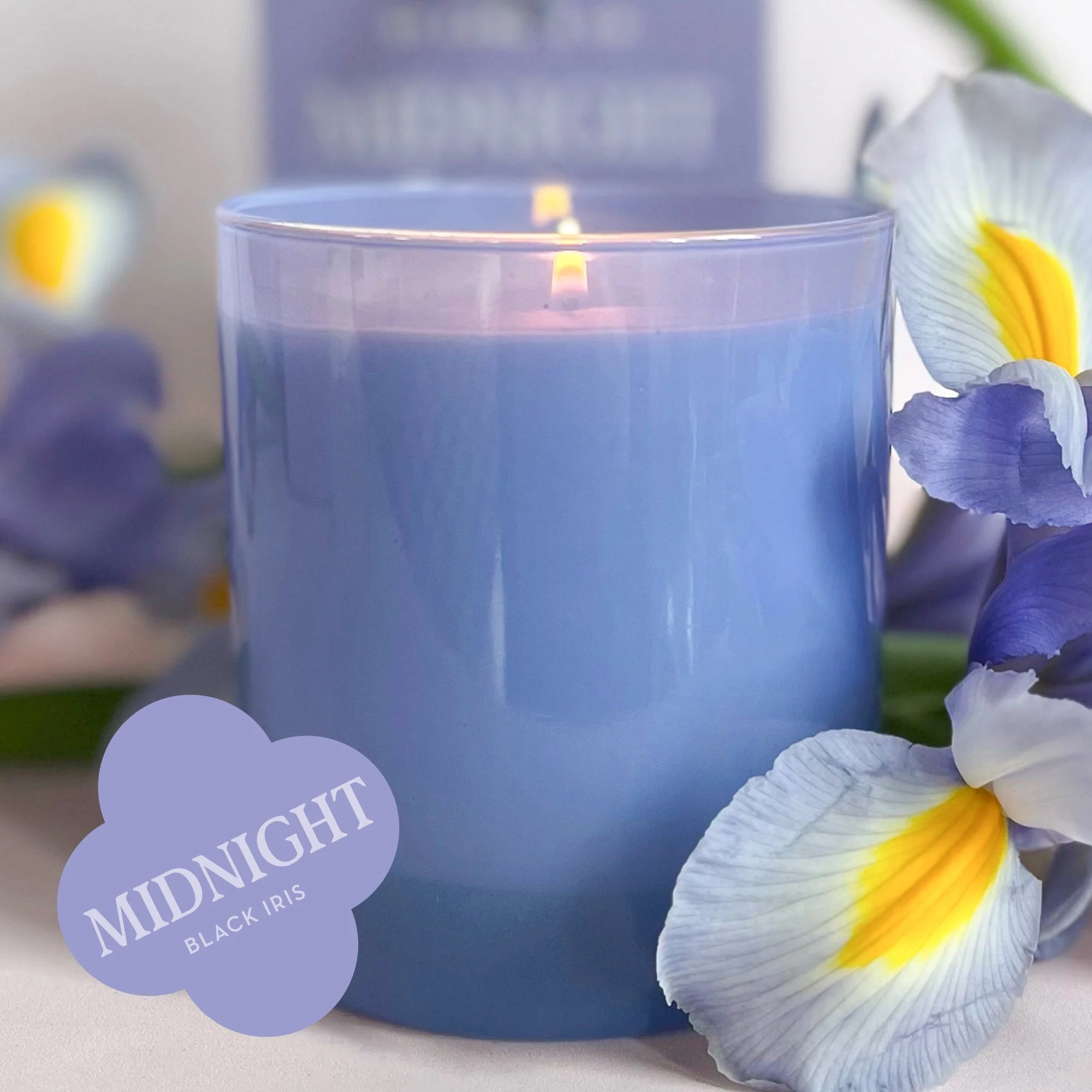 Midnight 9 oz. Hue Soy Candle - Black Iris - Image 7