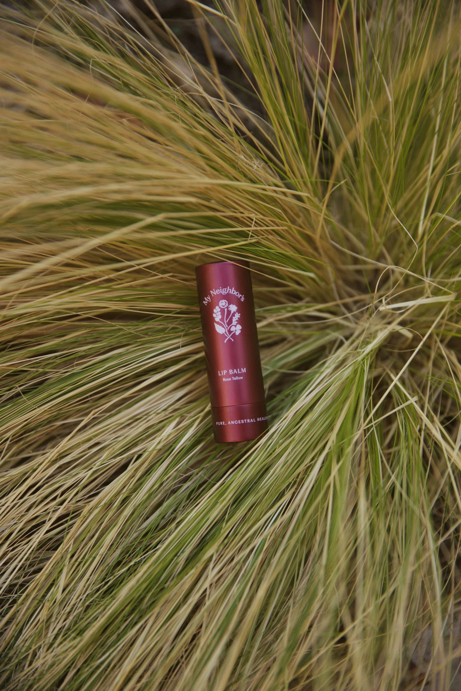 Rose Tallow Lip Balm (tinted) - Image 5