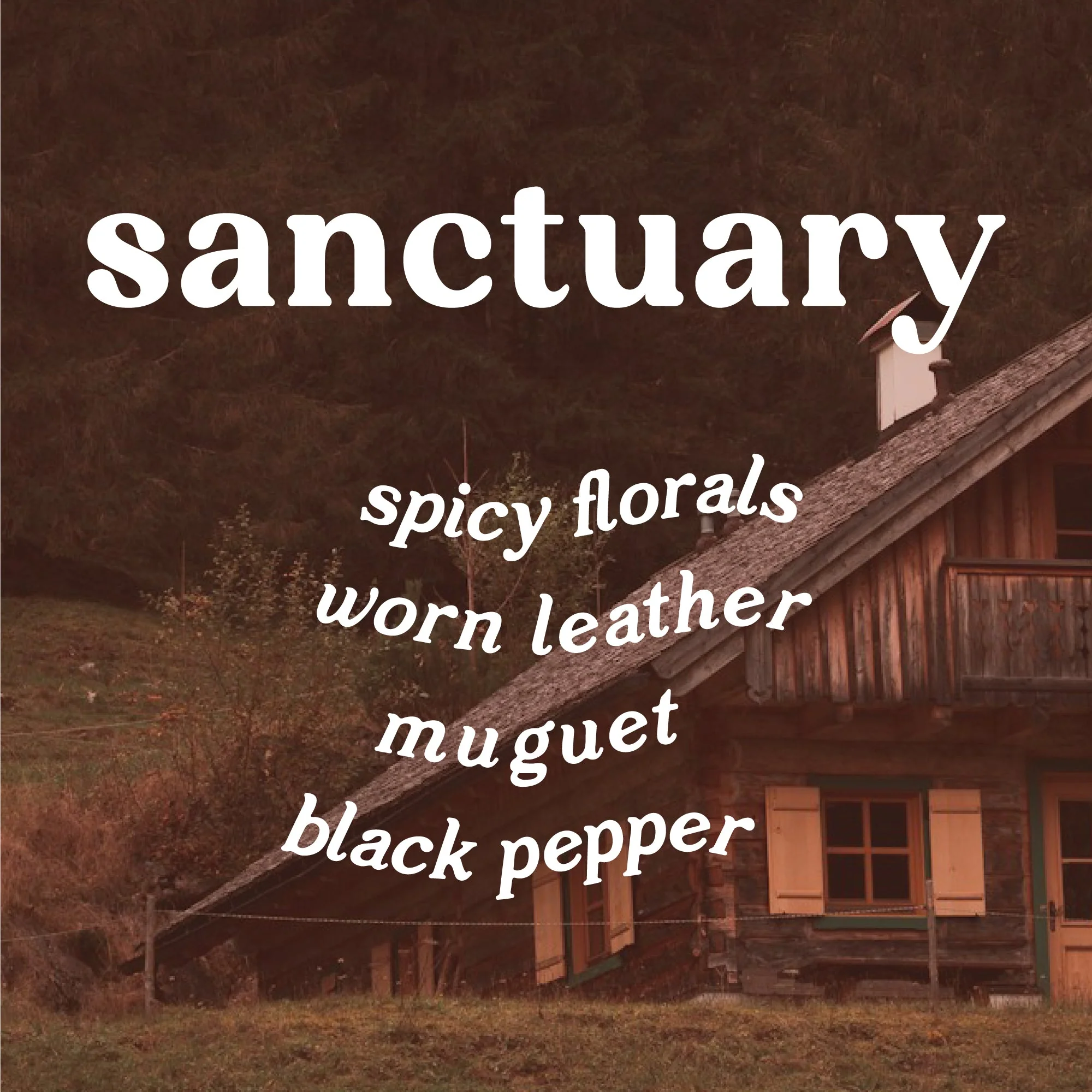 Soy Wax Sanctuary Candle - Leather + Incense 9 oz. - Image 4