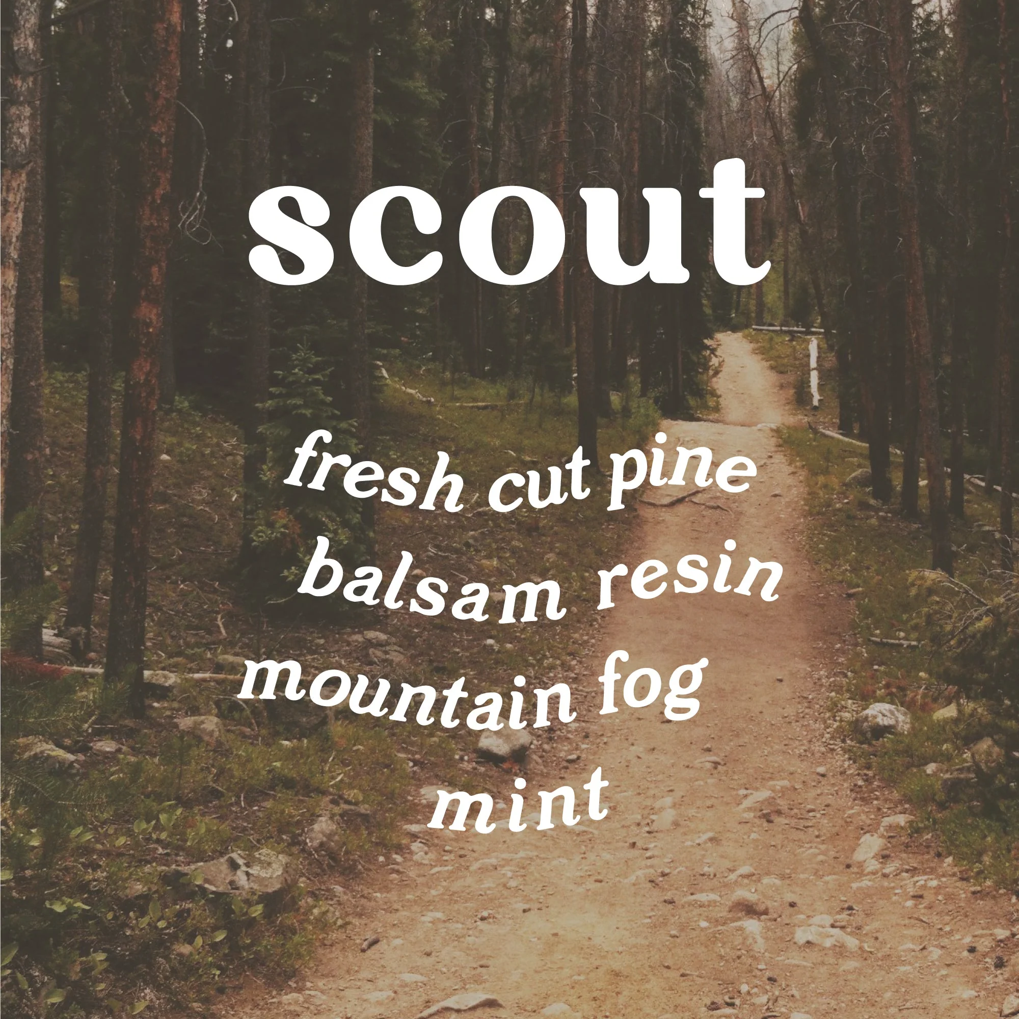 Soy Wax Candle Scout 9 oz. - White Pine - Image 6