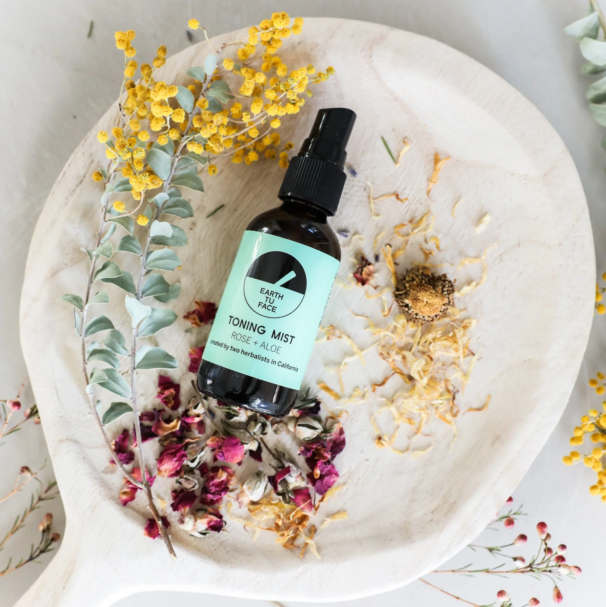 Revitalizing Rose + Aloe Toning Mist 2 Oz - Image 3